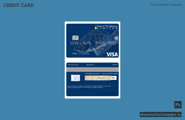 Beispielvorschau der Prepaid-US-Dollar-Visa-Karte der Bank of Bahamas